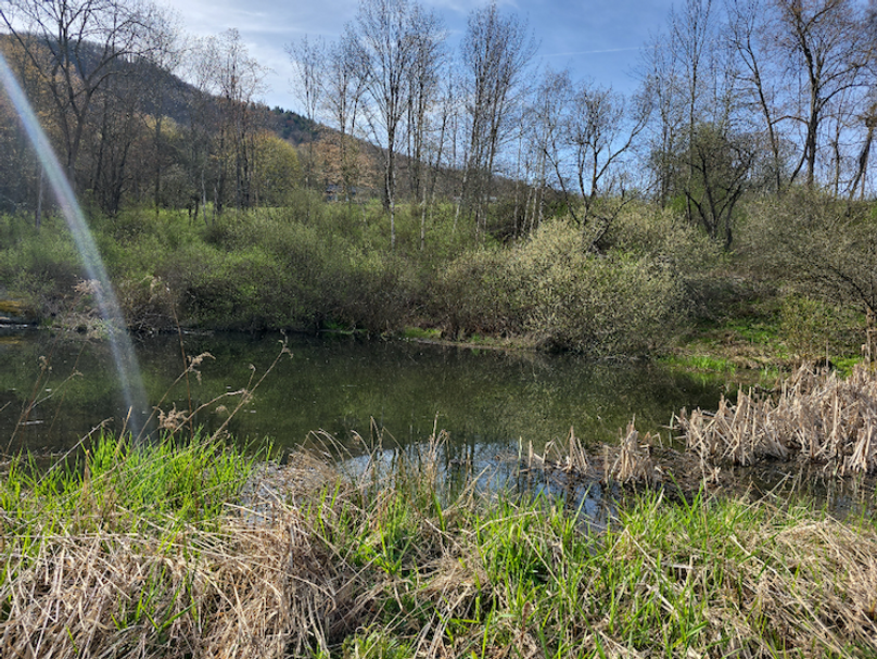 photo_c68e41e9-e6cc-4c8f-b058-ba71efe4ec86