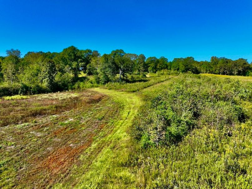 BD3332C2-C3A4-45B7-879A-FB325C891926_1_201_a