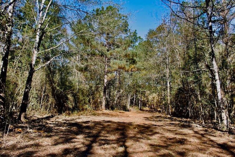 8A57F3DB-FACC-4525-A658-7583617E7BA9_1_105_c