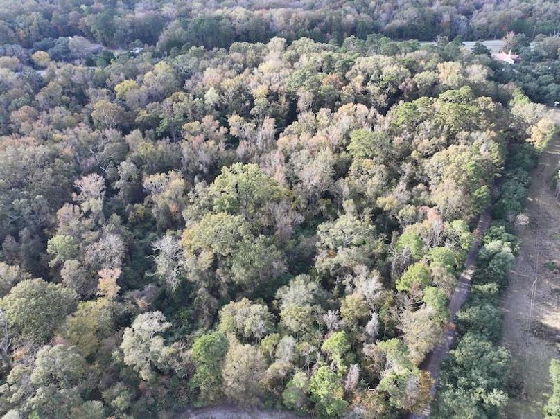 dji_fly_20251118_151428_0744_1763560713674_photo