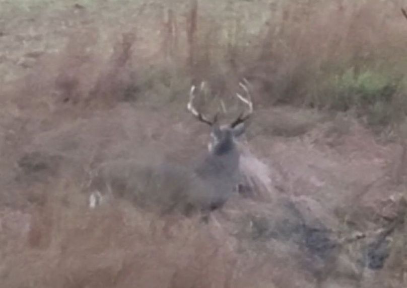 Screenshot 2026-03-26 134332