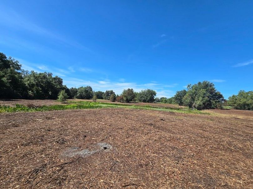 21ac, Sumter, Reelvest36