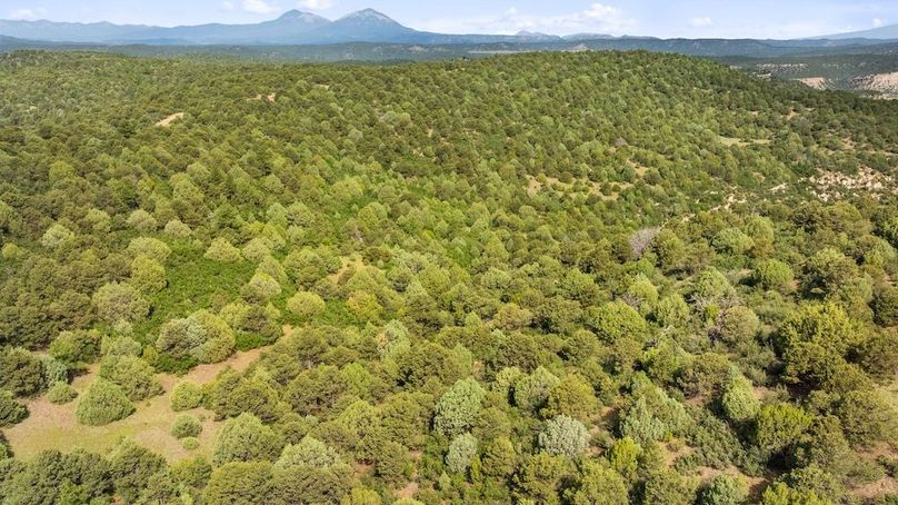 DJI_20250701113035_0018_D_1