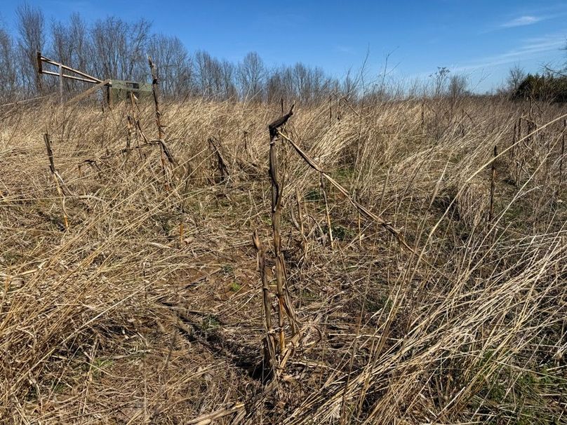 Fleming Petry 120-088