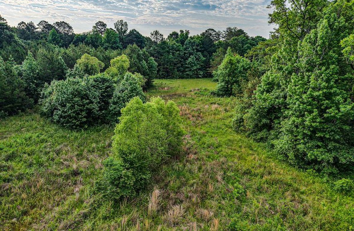 Chickasaw Tract 2-05
