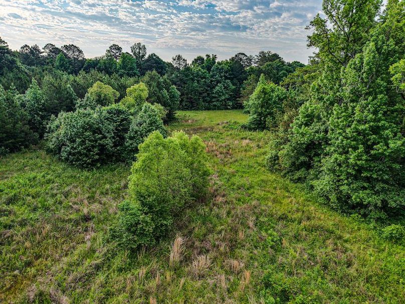 Chickasaw Tract 2-05
