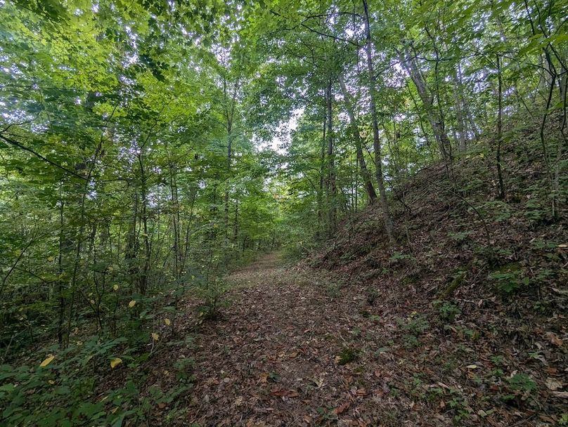 PXL_20240819_150006786