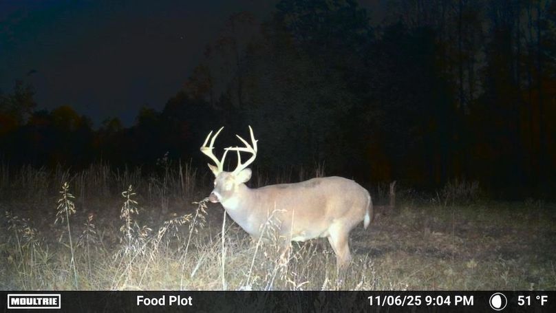 Grayson 48.195 Johnson24