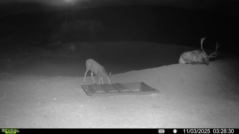 016578004362866-70-3-11032025153541-HD-SYFW00277