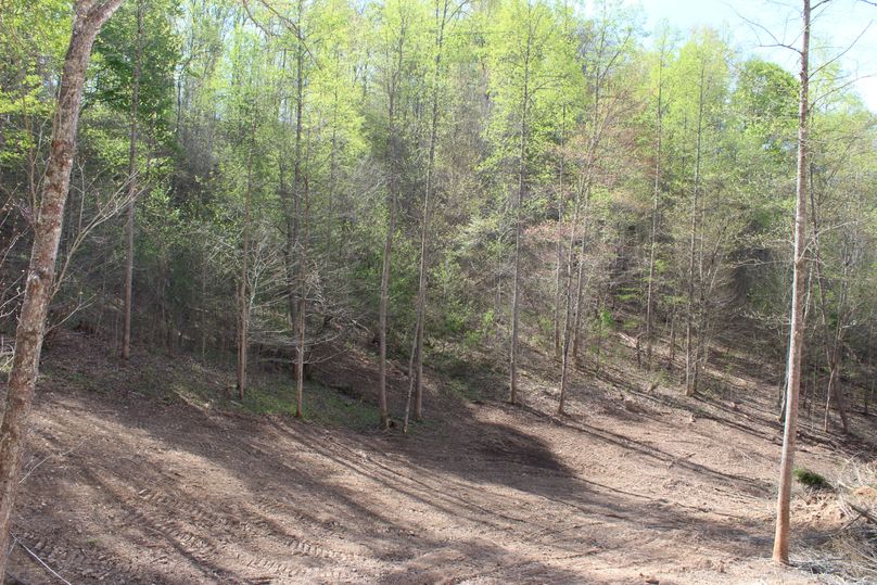 007 the valley below the homesite in the west area