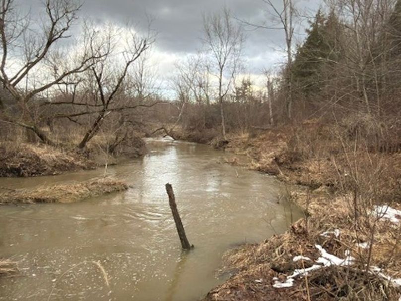 016C1B52-D728-492C-A04B-6370BCCBC252_4_5005_c