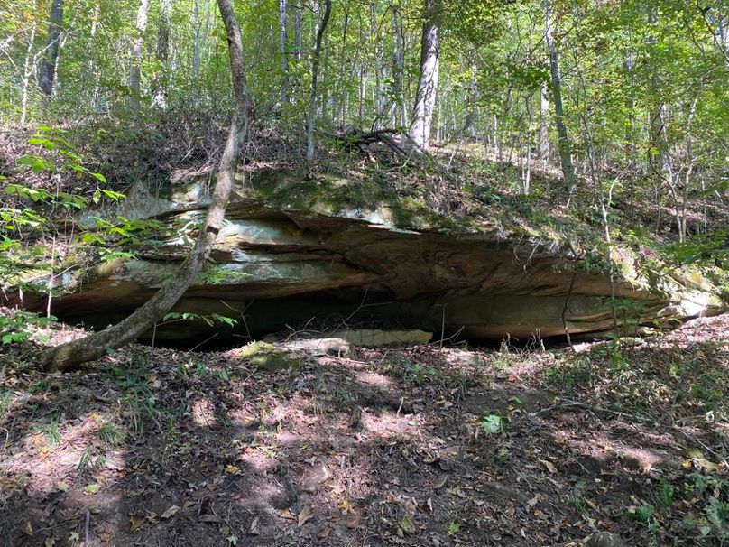 008 small rock cliff_shelf in the middle elevation of the property