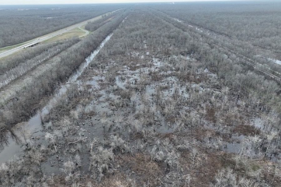 dji_fly_20250206_103158_968_1738862300572_photo
