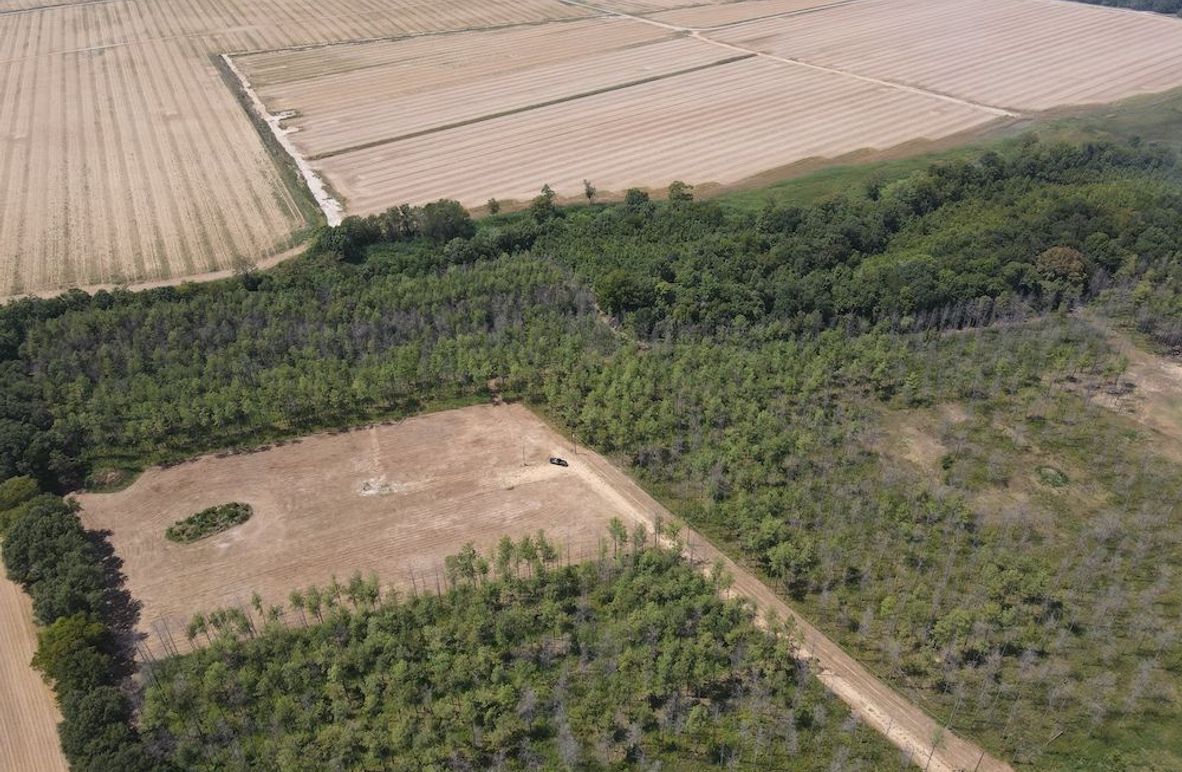 dji_fly_20240825_142118_267_1724613688504_photo