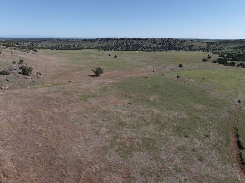 DJI_20250619093621_0036_D