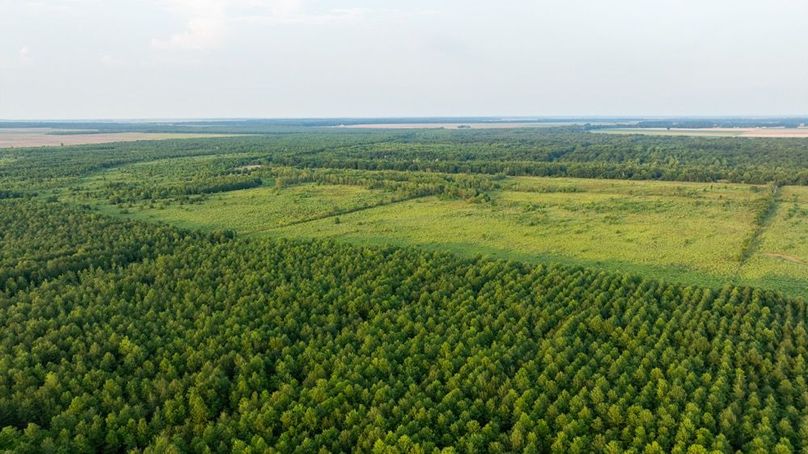 MadisonParLa1372-067