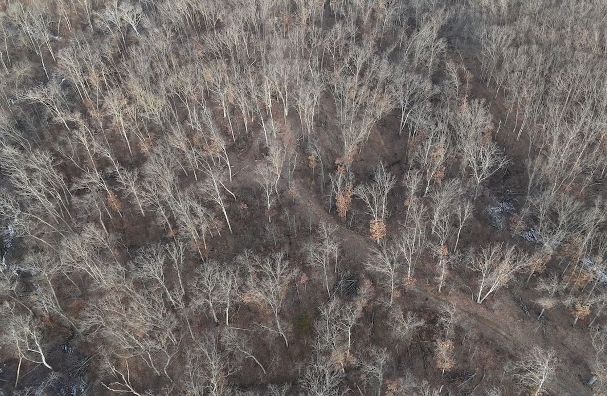 dji_fly_20260208_082812_0040_1770562362481_photo