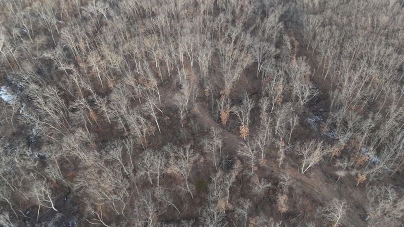 dji_fly_20260208_082812_0040_1770562362481_photo