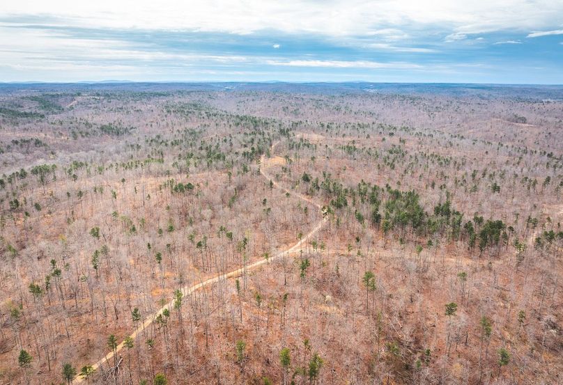 DJI_20250403120604_0574_D