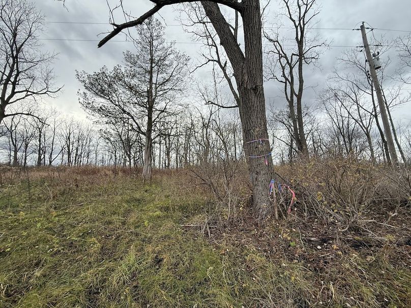 Tompkins_5.12_Galarza Photo 13