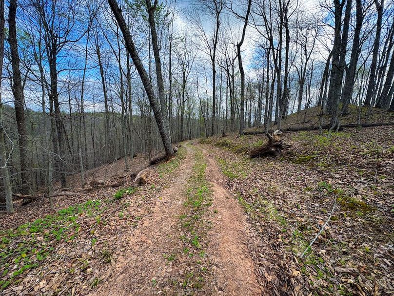 Calhoun, WV 132.84 AC Szegi 2-114