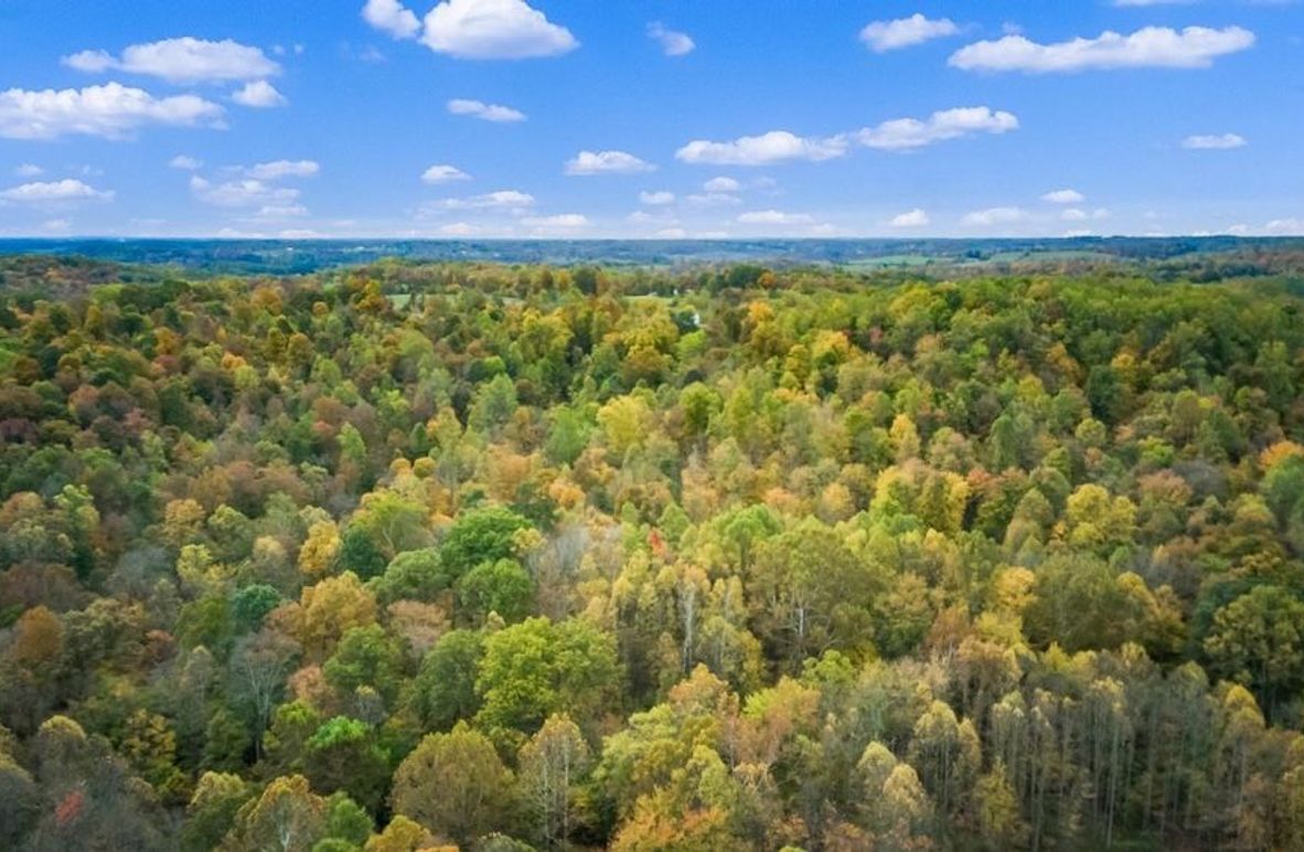 10-zj Pert Hill Rd007