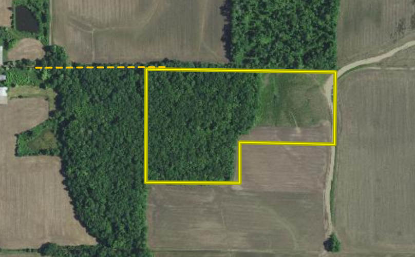 Screen Shot 2023-10-16 at 11.13.59 AM