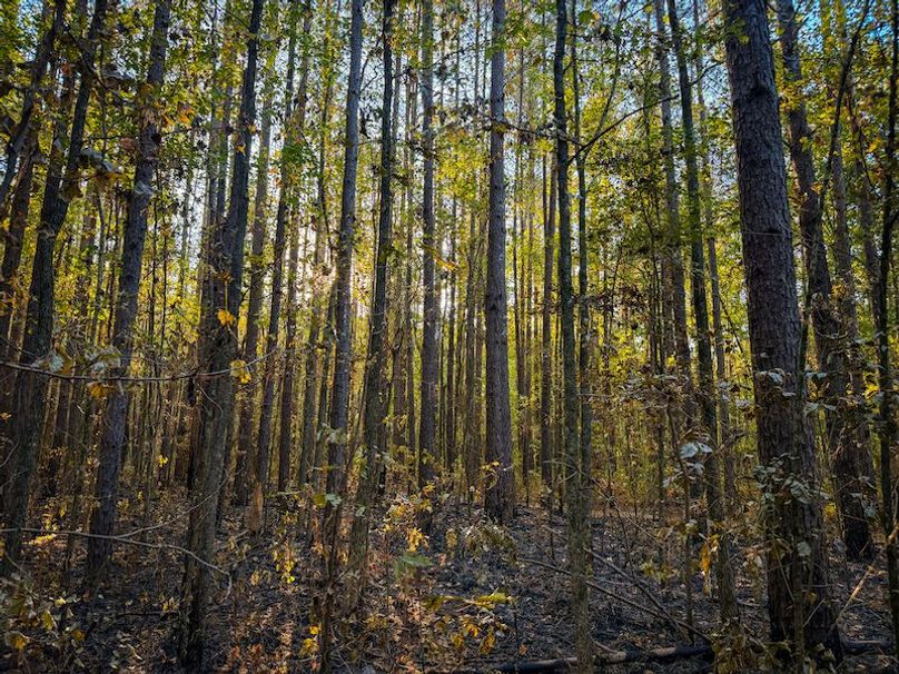 Clay 302.7 Henderson-09