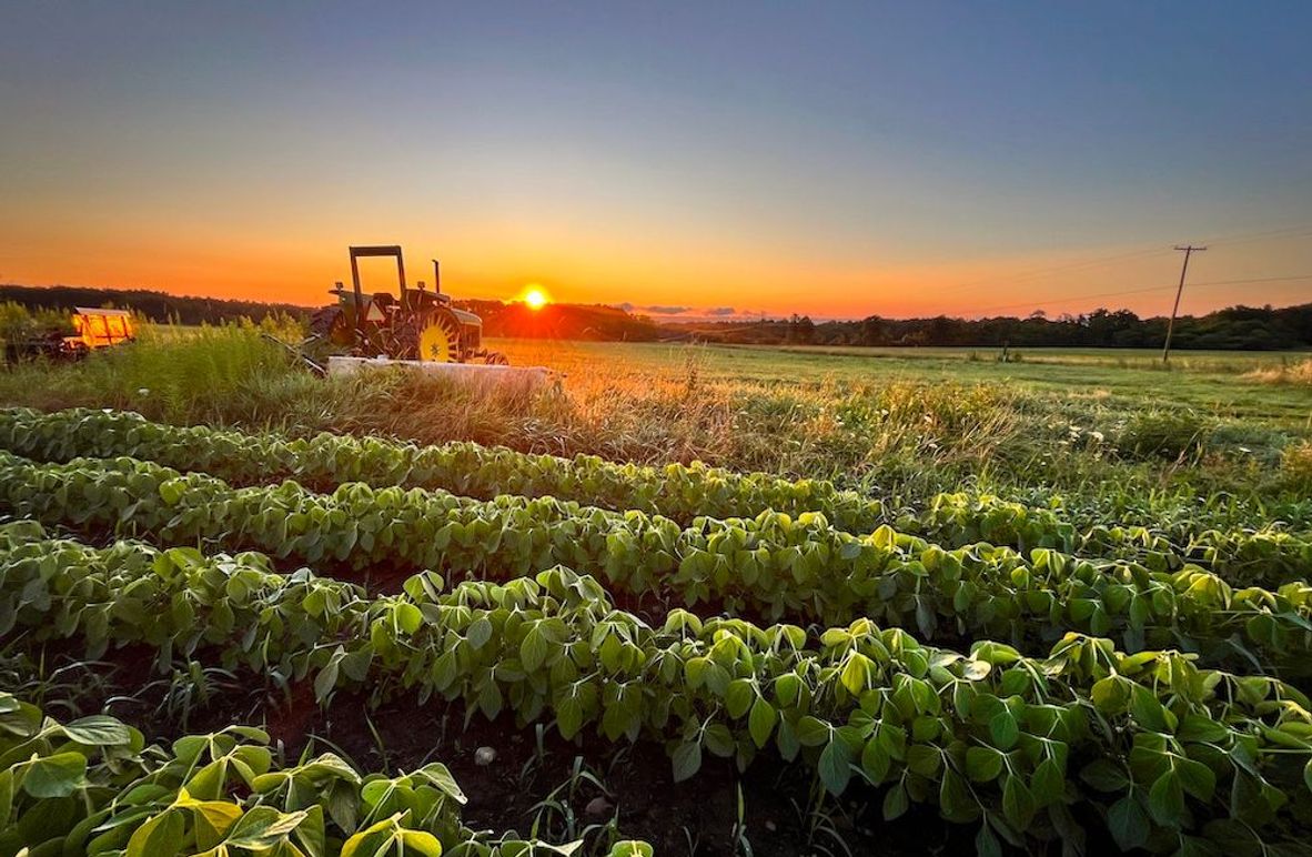 Wood Main Listing Photo 3