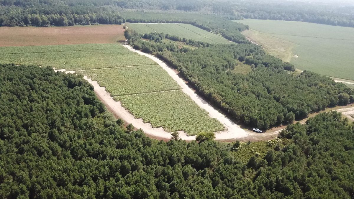 Highway 97 Sykes Farm Whitetail Properties