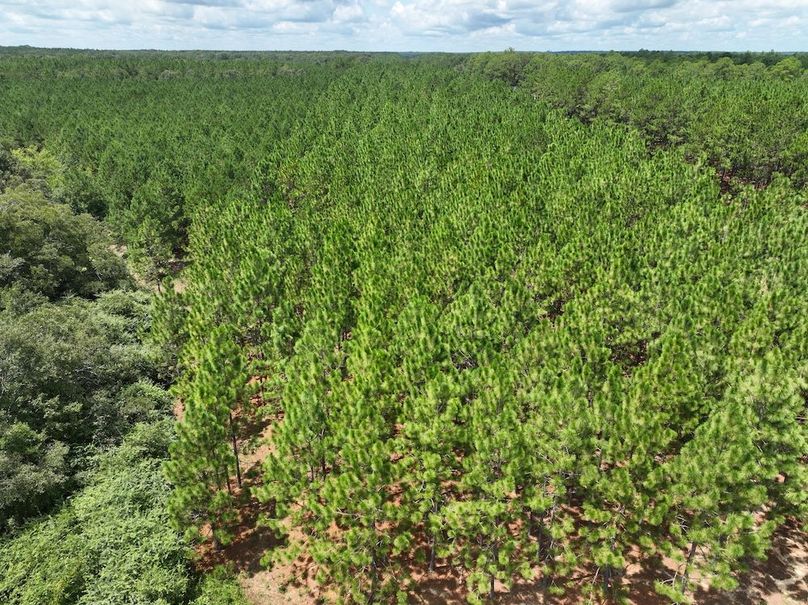 dji_fly_20250814_131806_76_1755192473837_photo