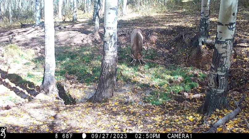 IMG_0103 (2) - frame at 0m6s