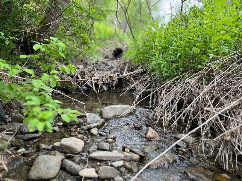 Tioga_18.72_Coulson Photo 33