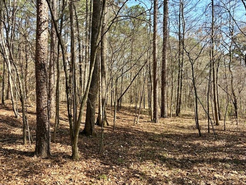 4C405515-4EB3-4487-9F09-00D9DE2941F2_1_105_c