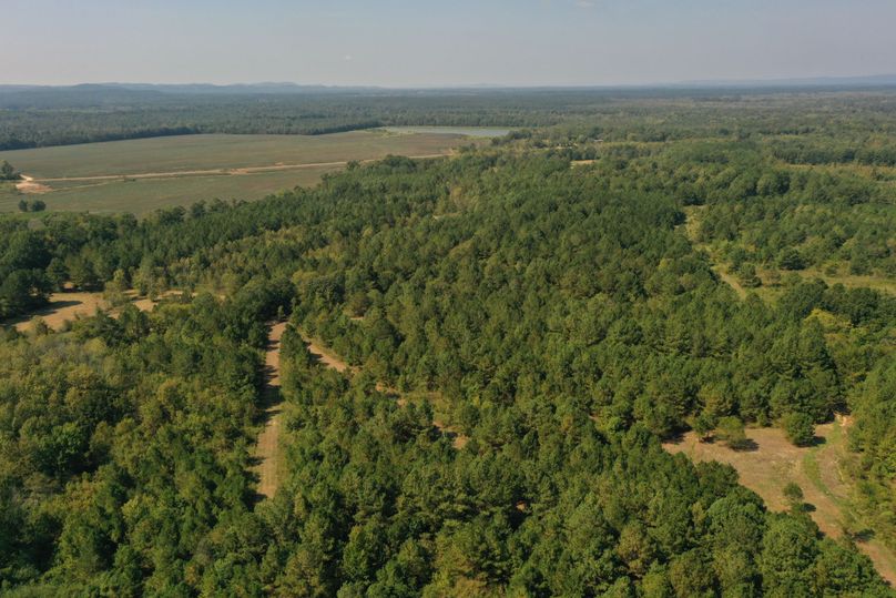 DJI_0872