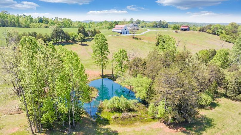 163-DJI_20240429073156_0059_D_MIB