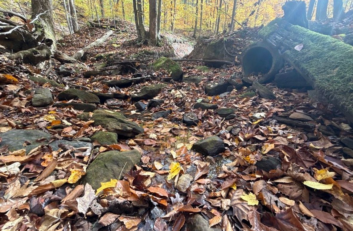 006 Creekbed and Old Culvert
