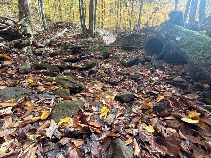 006 Creekbed and Old Culvert