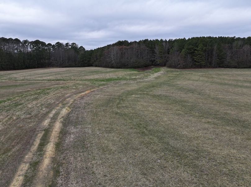 dji_fly_20260219_134758_0572_1772565815724_photo