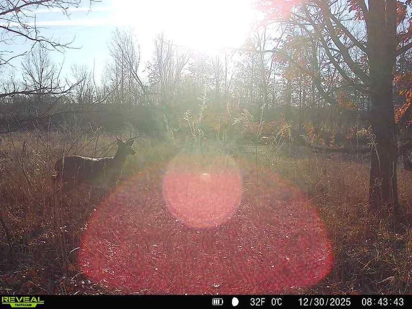 860516067527659-50-2-12302025084342-V-W1000338