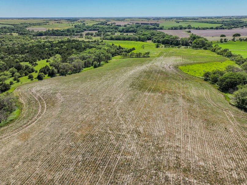 dji_fly_20240606_165024_0010_1717711229245_photo