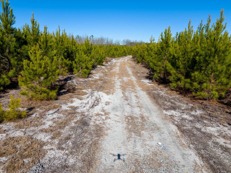 Pender NC 382 - Edits-20