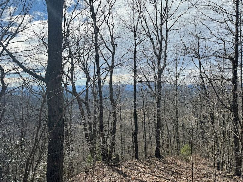 Cherokee 118.85 Harris Top-31