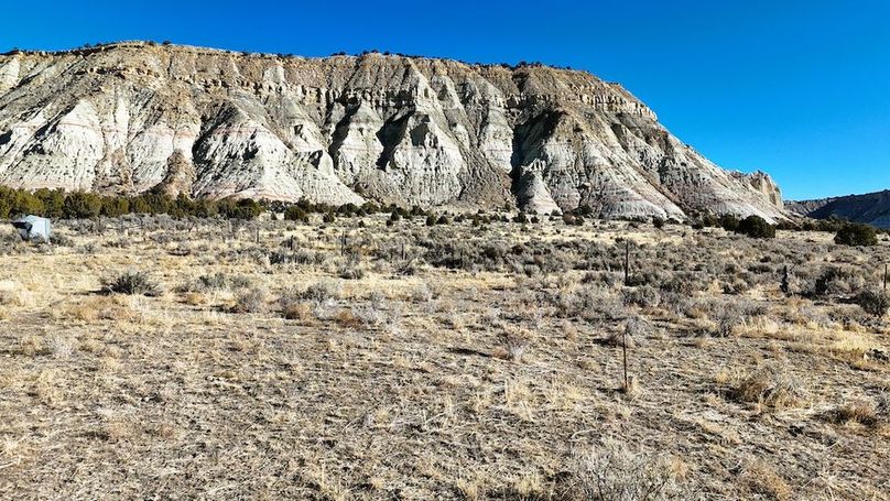 DJI_20241219102255_0082_D