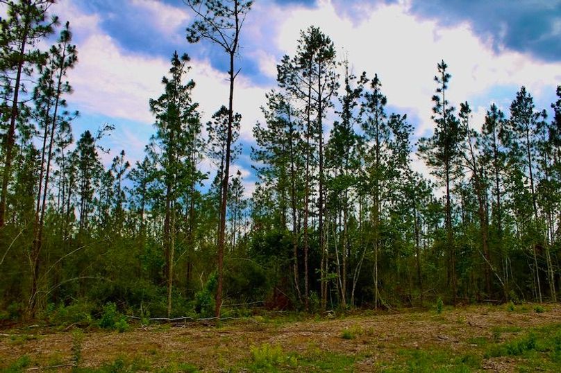 A7AF4877-E0D5-40E2-9987-B6099A457806_1_105_c