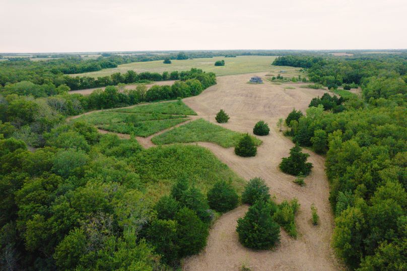 Fannin 37 Acres-22