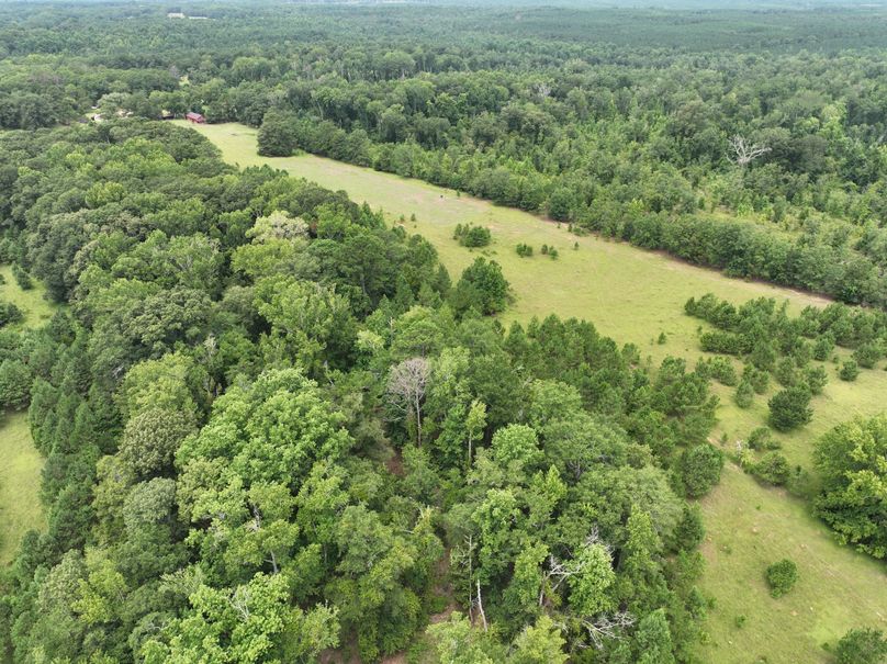 dji_fly_20230803_122410_480_1691080509655_photo