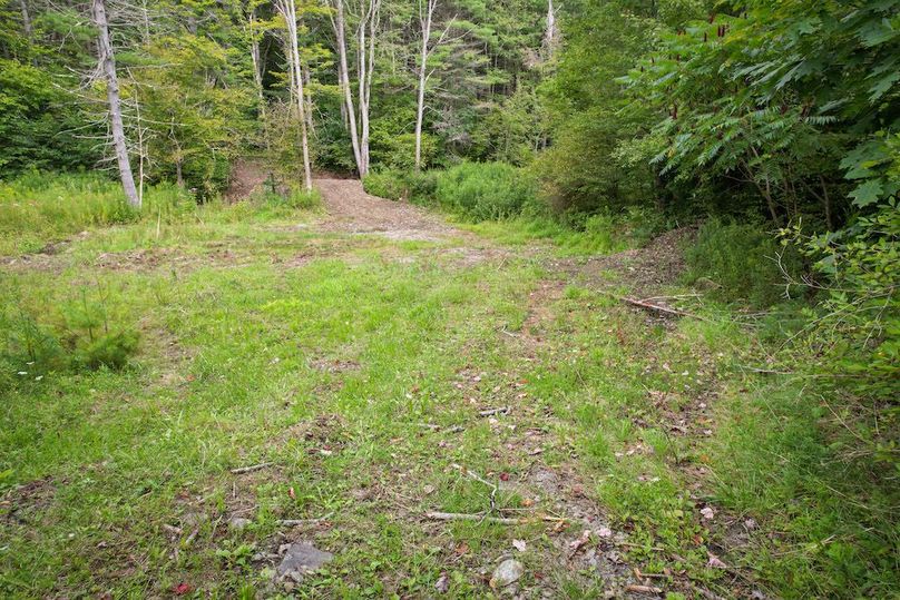 Chemung_60.55_Baumunk_Photos_6