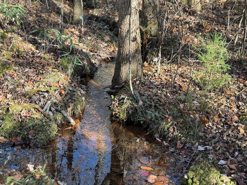 17 - stream boarding property