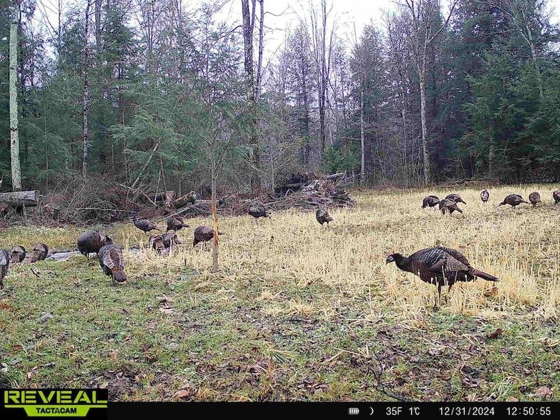 865814048724973-60-3-12312024125054-HD-W1011953